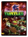 Tini Nindzsa Teknőcök 1. évad DVD 3