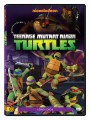 Tini Nindzsa Teknőcök 1. évad DVD 6 borító
