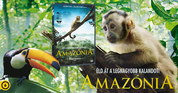 amazonia-banner.jpg