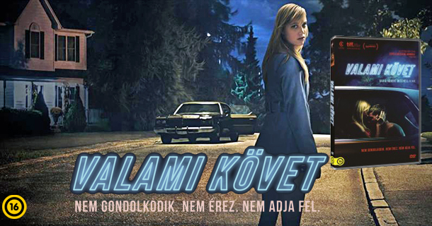 valami-k-vet-banner.jpg valami-k-vet-banner.jpg