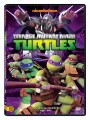 Tini Nindzsa Teknőcök 1. évad DVD 2