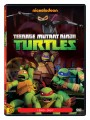 Tini Nindzsa Teknőcök 1. évad DVD 7 borító
